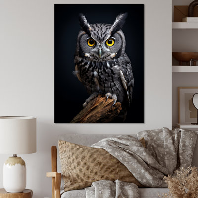 «Black», Curious Eyes Owl II - impression d'art mural hibou