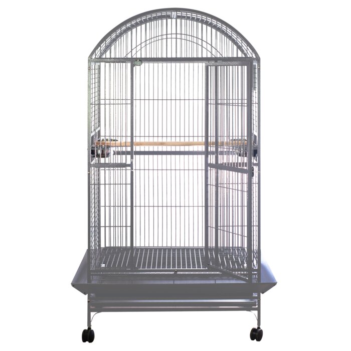Archie & Oscar™ Dwight 65'' Iron Dome Top Floor Bird Cage with Wheels ...