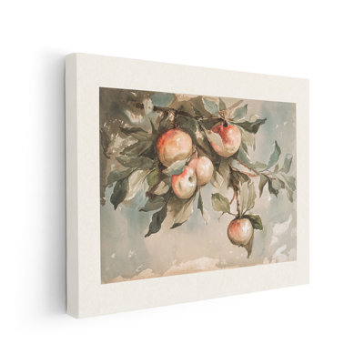 Study of Apples