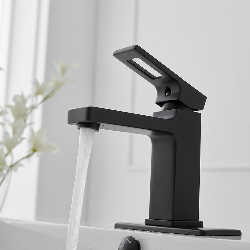 Matte Black Single-Handle Bathroom Faucet with Drain Assembly