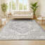 Tapis moderne gris clair avec médaillon perse rétro Blane-280805449