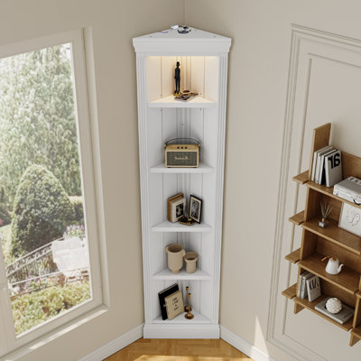 Modern Corner Shelf,5 Tier Corner Bookcase With Led Light, Storage Standing Shelf Unit -  Red Barrel Studio®, 98BA7919B04949F48FD8000D1B4397A1
