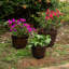 Handmade Wood Barrel Planter