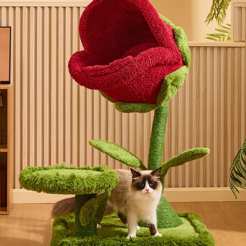 Arbre à chat 2 niveaux avec condons, perchoir, poteaux à griffer