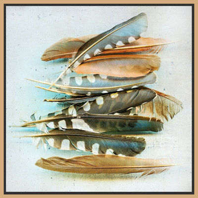«Speather Feather Study», peinture sur toile à cadre flottant