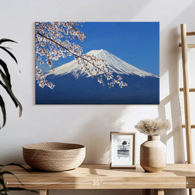 Fuji et Sakura enneigé