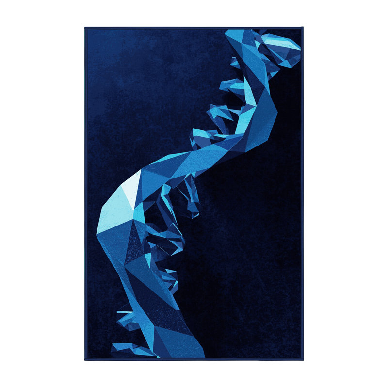 Soft Plush Cadwall Dna Helix Modern & Contemporary Geometric Area Rug in Blue – Navy Binding, 2x4
