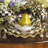 Courtly Check® Ceramic Fluted Dinner Plate