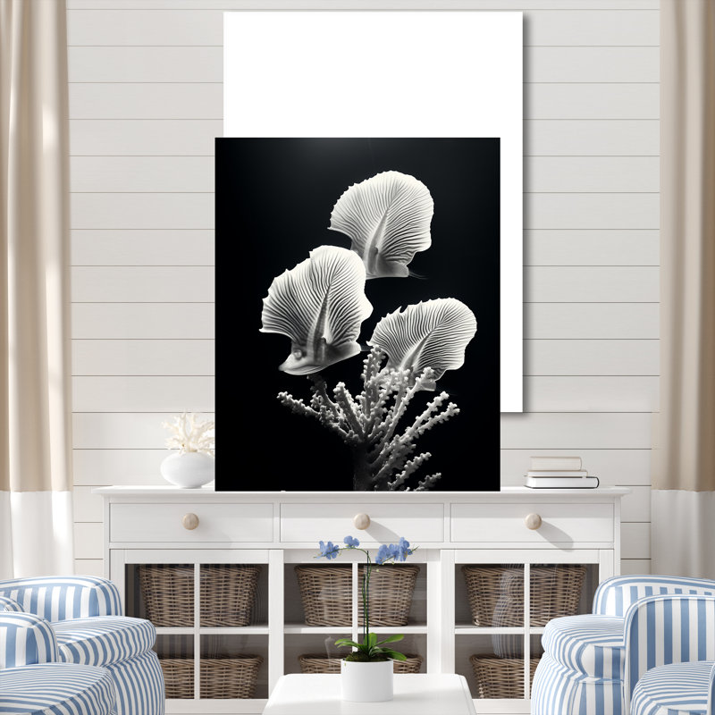 «Black and White Modern Coral Dream - Beach and Ocean, art mural sur toile, H 20 po x l 12 po x P 1 po, Toile tendue
