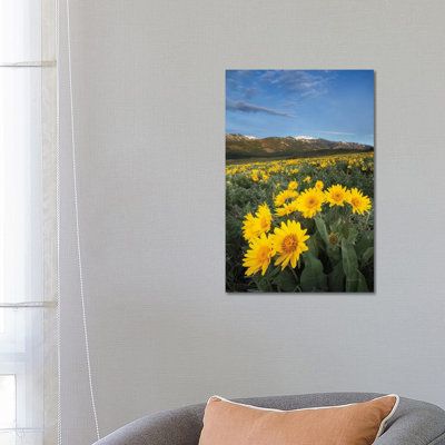 Methow Valley Wildflowers III 1 Piece Wrapped Canvas Wall Art