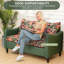 2 Seater Sofa Loveseat Couch