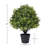 Guttenberg Faux Boxwood Topiary in Pot