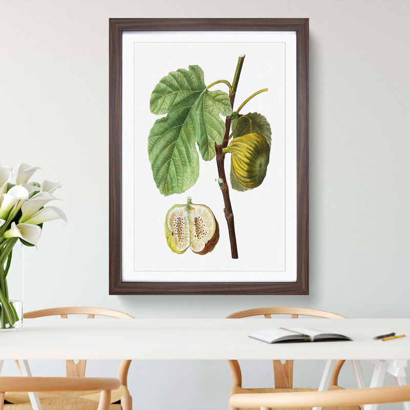 Fig Fruit by Pierre-Joseph Redoute - Picture Frame Painting Print, Walnut Framed, 36cm H x 27cm W x 2cm D