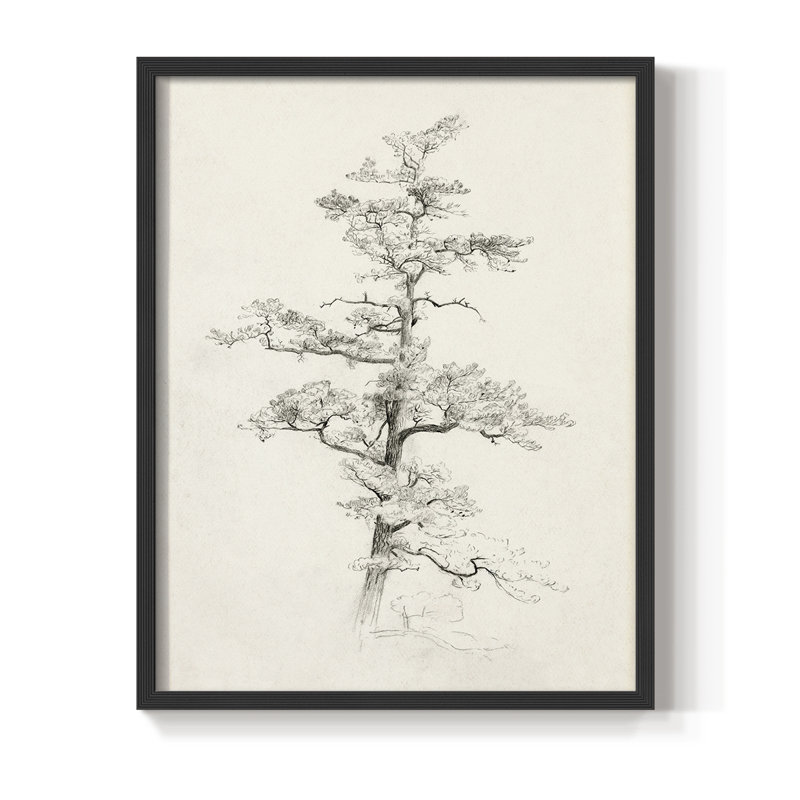 Reproduction encadrée rétro XC - bois massif, H 21 po x l 17 po, Noir, noir, noir, noir
