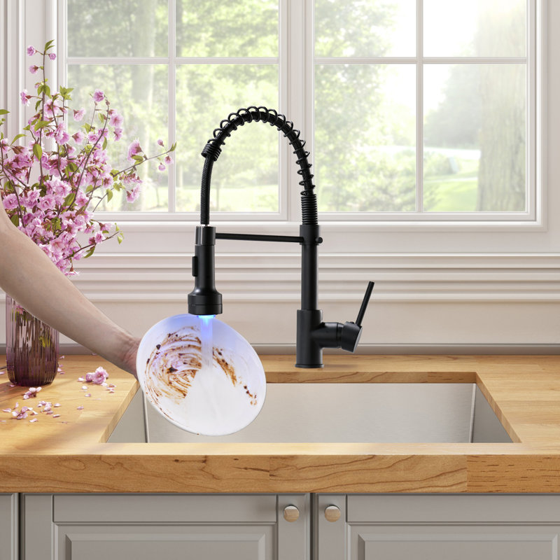 FLG Pull Down Kitchen Faucet