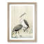 Two Herons in the Rain by Ohara Koson - Framed Print-55614649-55614652