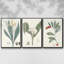 Ensemble de 3 pièces encadrées sur toile Soft Tropical IV-97706656-97706661