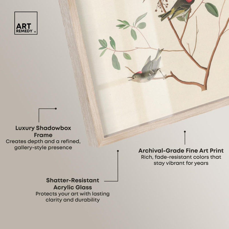 «Mountain Laurel Shadowbox Print» par Art Remedy, H 16 po x l 11 po, Crème, crème
