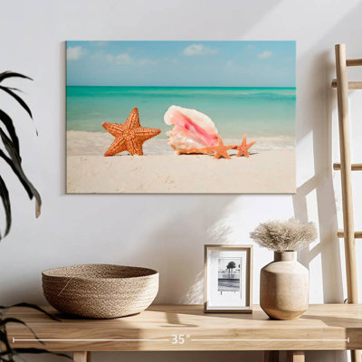 Aureo Starfish And Shell