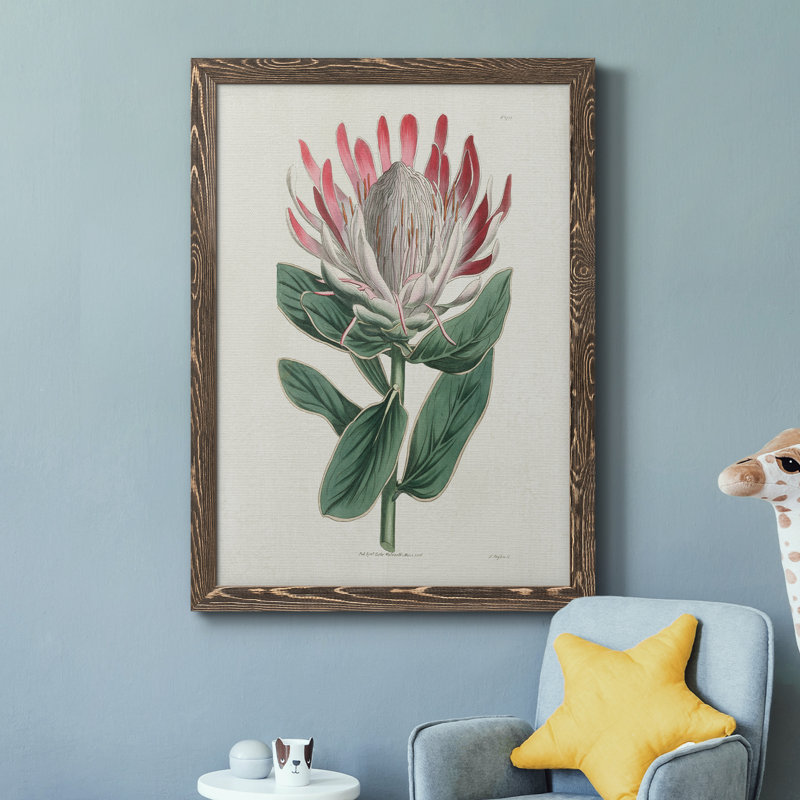 Protea N13 - Peinture sur toile encadrée, H 44 po x l 31 po x P 1 po, Encadré de bois de noyer