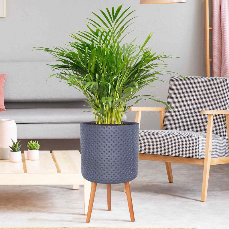 Dotted Style Cylinder Planter with Feet Concrete Effect Cylinder Round Planter on Hardwood Legs, Round Indoor Plant Pot Stand for Indoor Plants, Indoor Flower Pot with Dotted Pattern