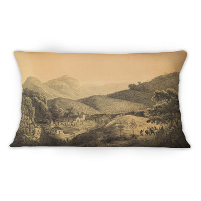 Nature Of South America Old Image VI - Traditional Printed Throw Pillow 1