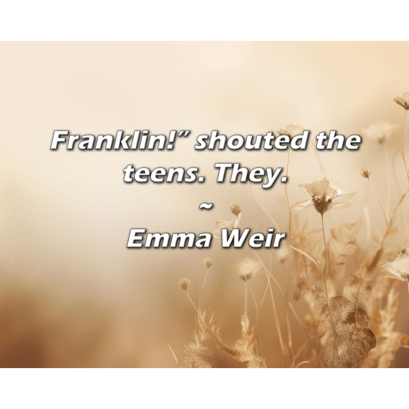Emma Weir Citation: Franklin! Crièrent les adolescents., H 26 po x l 32 po