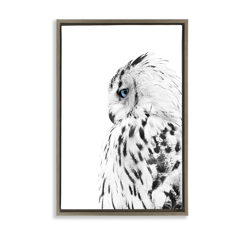  Chouette avec toile bleue forte par Design Fabrikken, H 31 po x l 21 po, Cadre flottant orme Montalcino