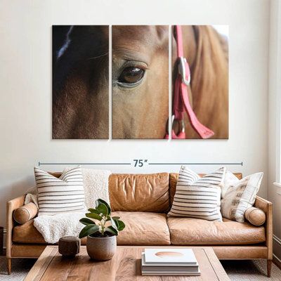 Brown Horse Eye