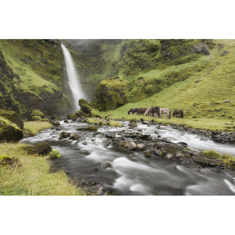 Waterfall Horses I by PHBurchett - Wrapped Canvas Print, 30cm H x 46cm W x 3.8cm D