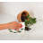 Set Of 2 Moose & Bear With Pine Trees Dishcloth