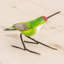Figurine en céramique annas hummingbird Ernie