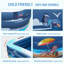 Piscine gonflable en plastique H 2 pi x L 8 pi x l 6 pi