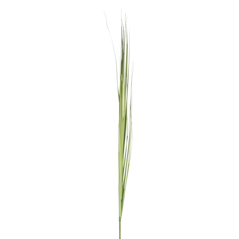 Faux Birch Grass Plant, 157cm H x 10cm W x 10cm D