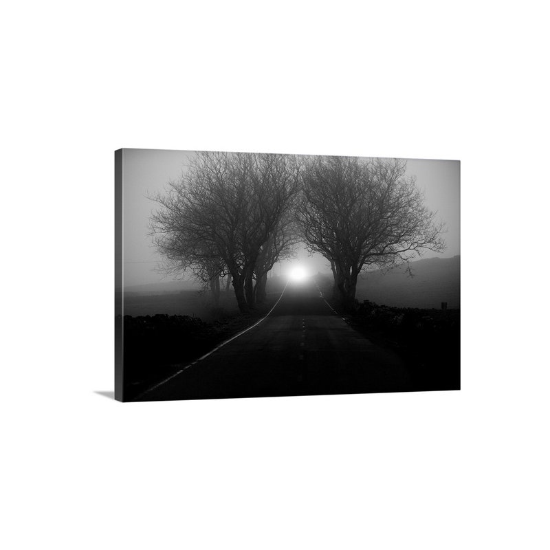Fog by Rui Caria Photographic Print on Canvas, 24" H x 36" W x 1.25" D