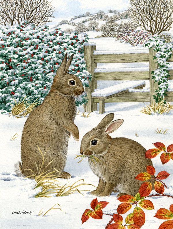 Drapeau de jardin Berns Rabbits
