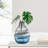  Manzer 10" Mouthblown Colored Blue Glass Table Vase-329916536-329916484