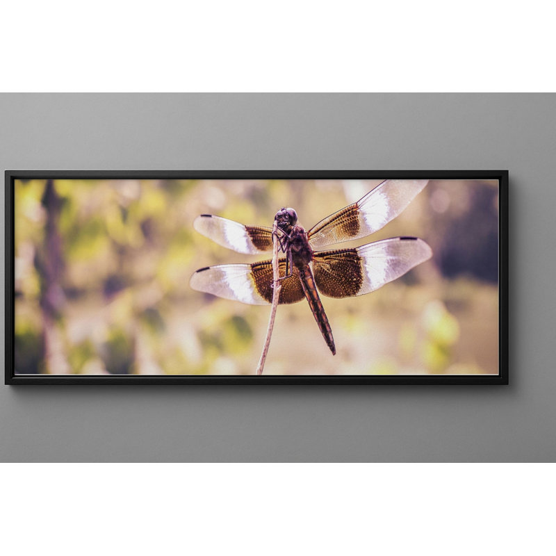 Gibbs Print, 11.75" H x 31.75" W, Black