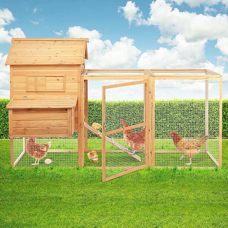 Chicken Coop with Chicken Run