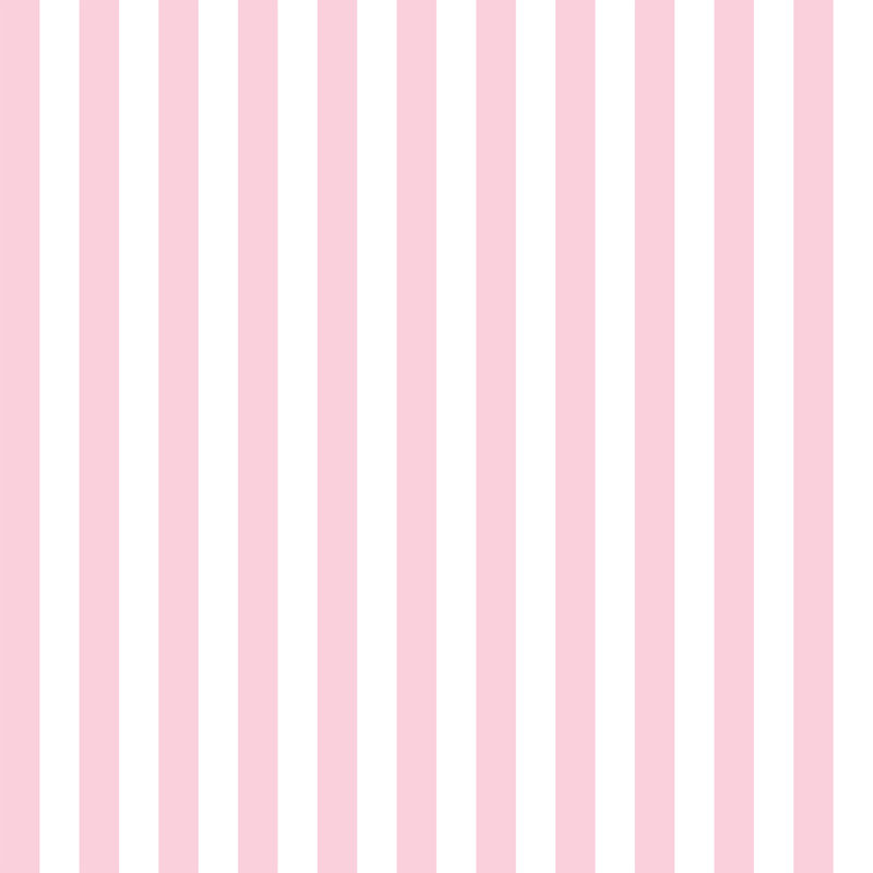 Rouleau de papier peint à rayures verticales Blush