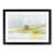 Black Framed selected