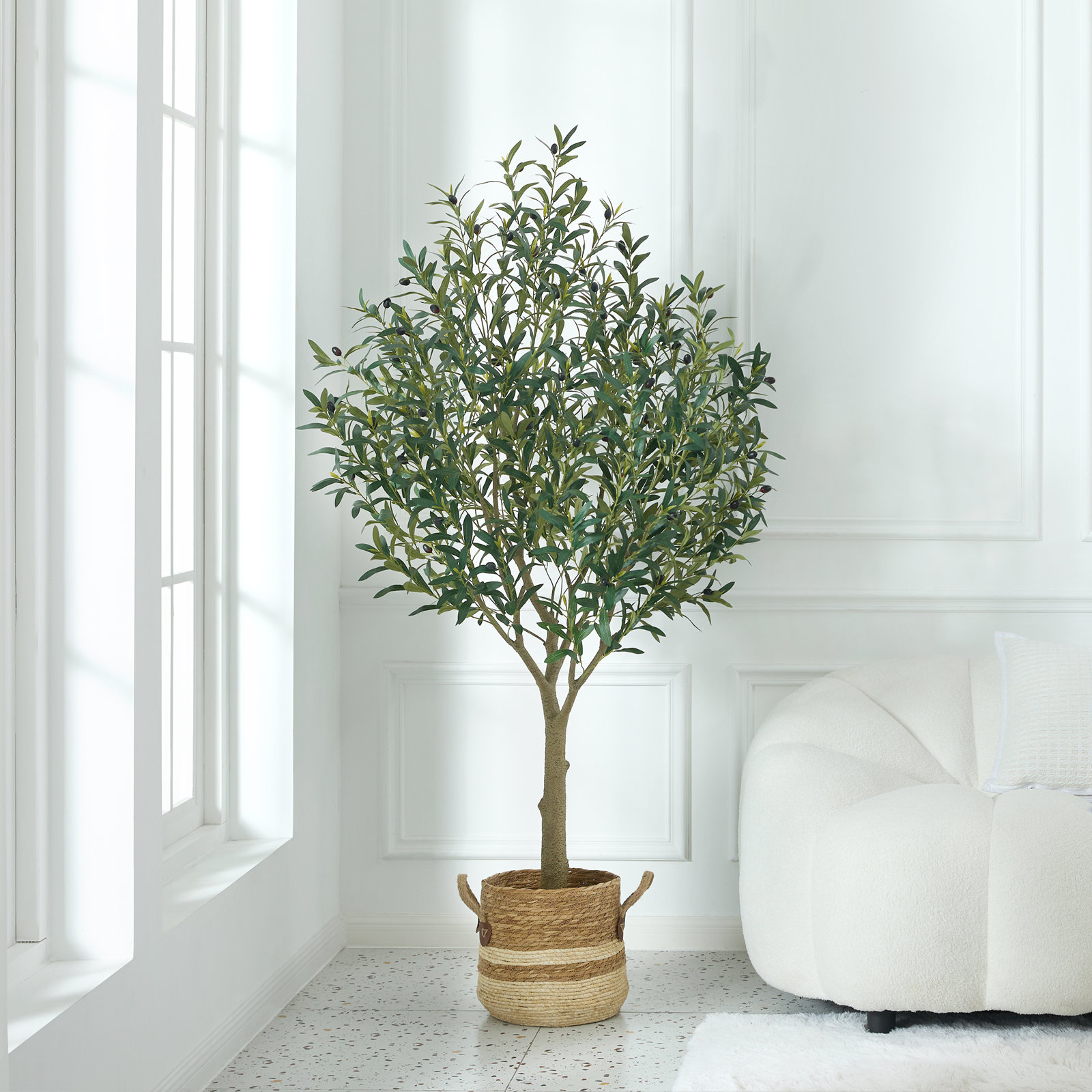 George Olive Tree in Pot, 72" H x 24" W x 24" D