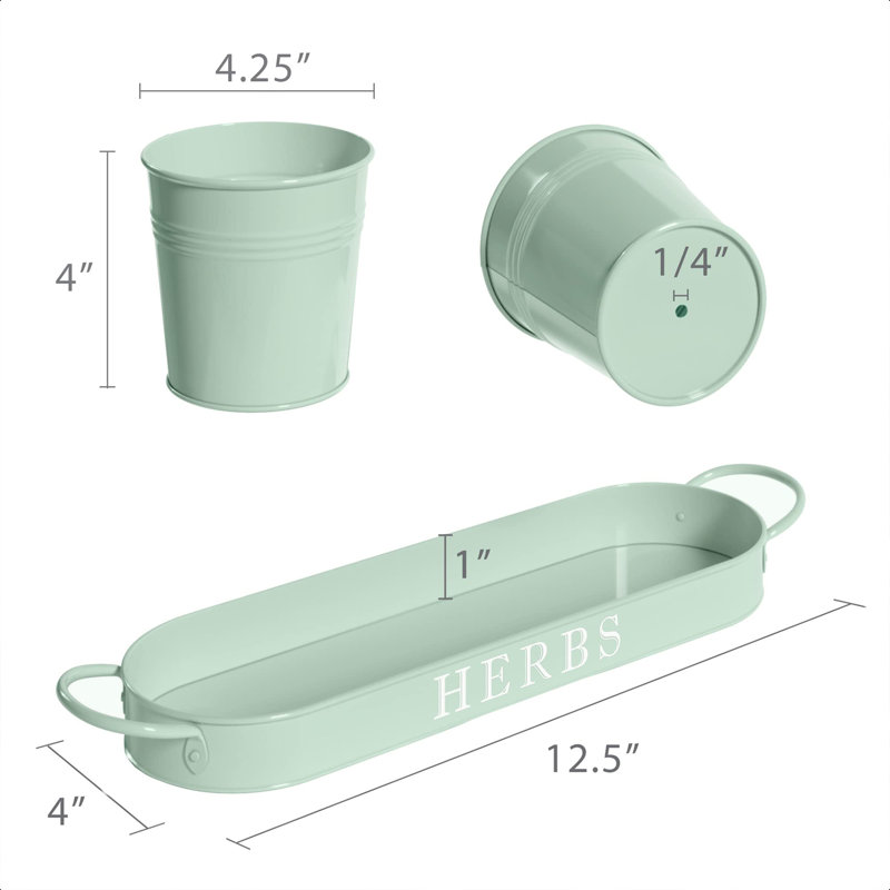 Ensemble de jardinières d'intérieur avec plateau, Menthe douce