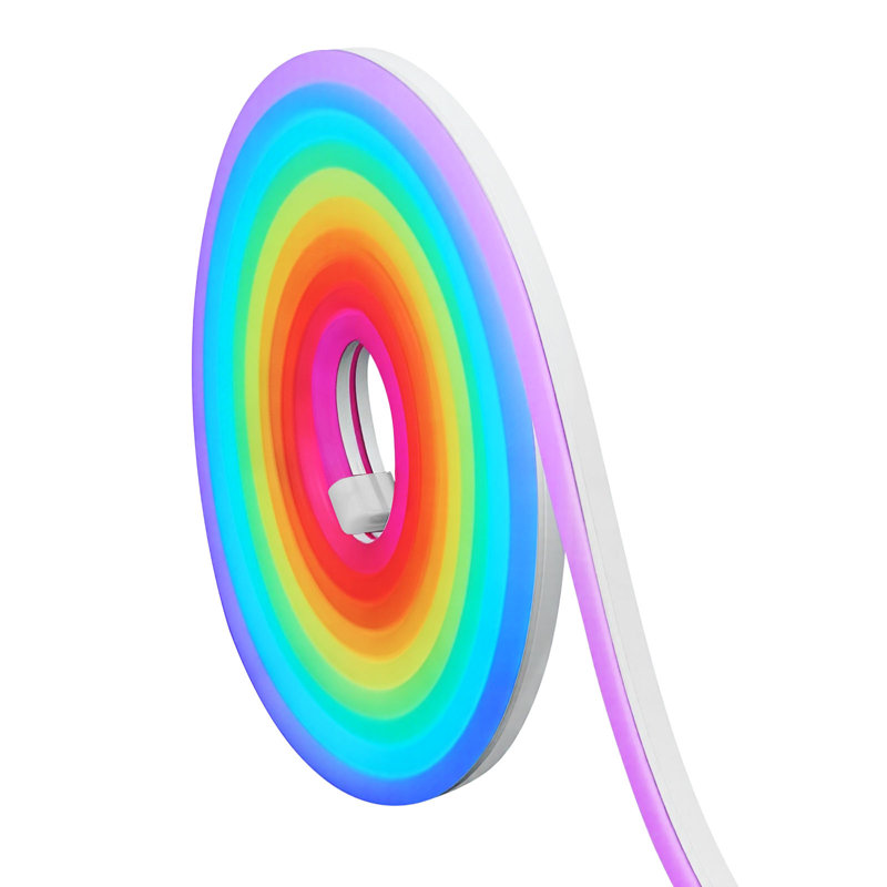 LED Neon Rope Light, 16.4 ft, Flexible RGB-IC LED Strip Light, Control with App/Remote, Works with Alexa & Google Assistant, Music Syncing, Custom DIY Neon Flex Lights, for Bedroom Gaming Indoor