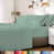Light Teal