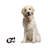 Alura Animals Figurines & Sculptures