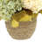 Fall Arrangement with Hydrangeas, Thistle and Wheat