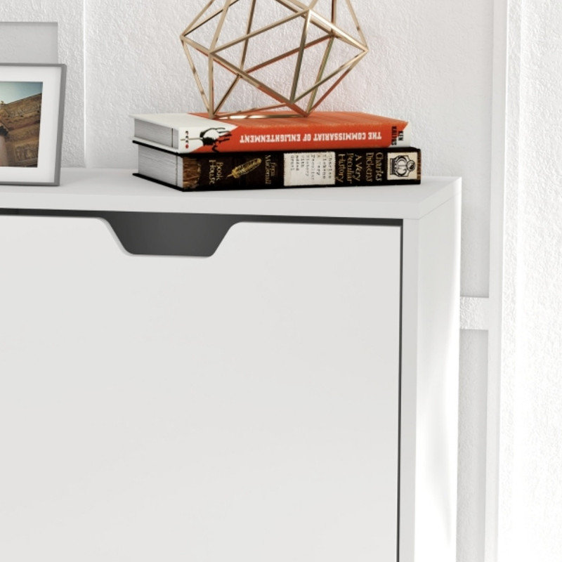 16 Pair Shoe Storage Cabinet