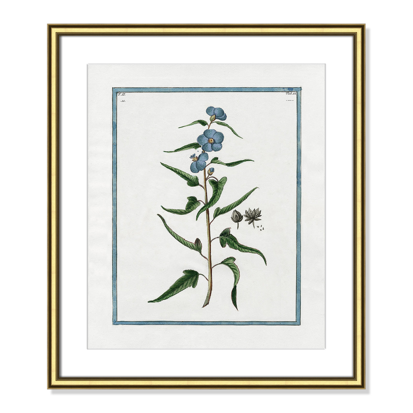 Colombe "Shabby Elegance Botanical I" Print, Gold Framed, 17.25" W x 20.25" H