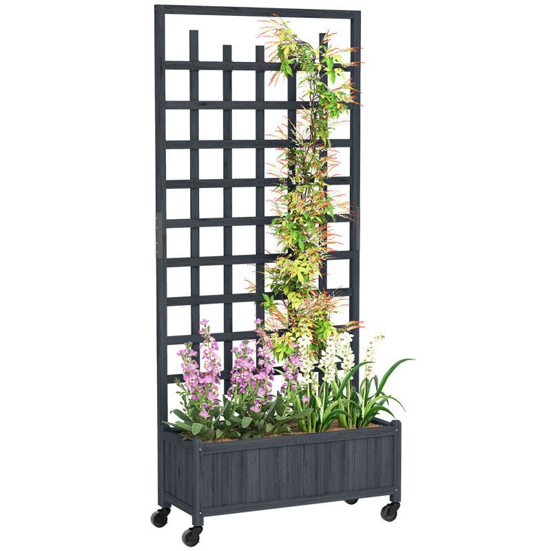Wood Raised Garden Bed with Trellis